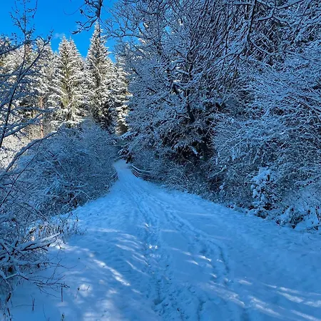 Wald Und Wild * Loeffingen